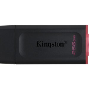 pen drive 256gb kingston 3.1 dtx