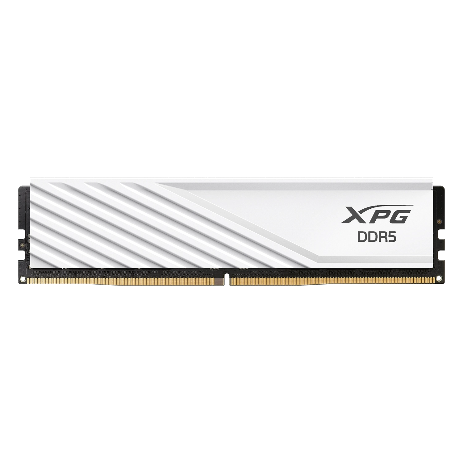 lJzSt_l Memoria Ram UDIMM ADATA XPG 16GB DDR5 5600 WHITE CL46 1.1V