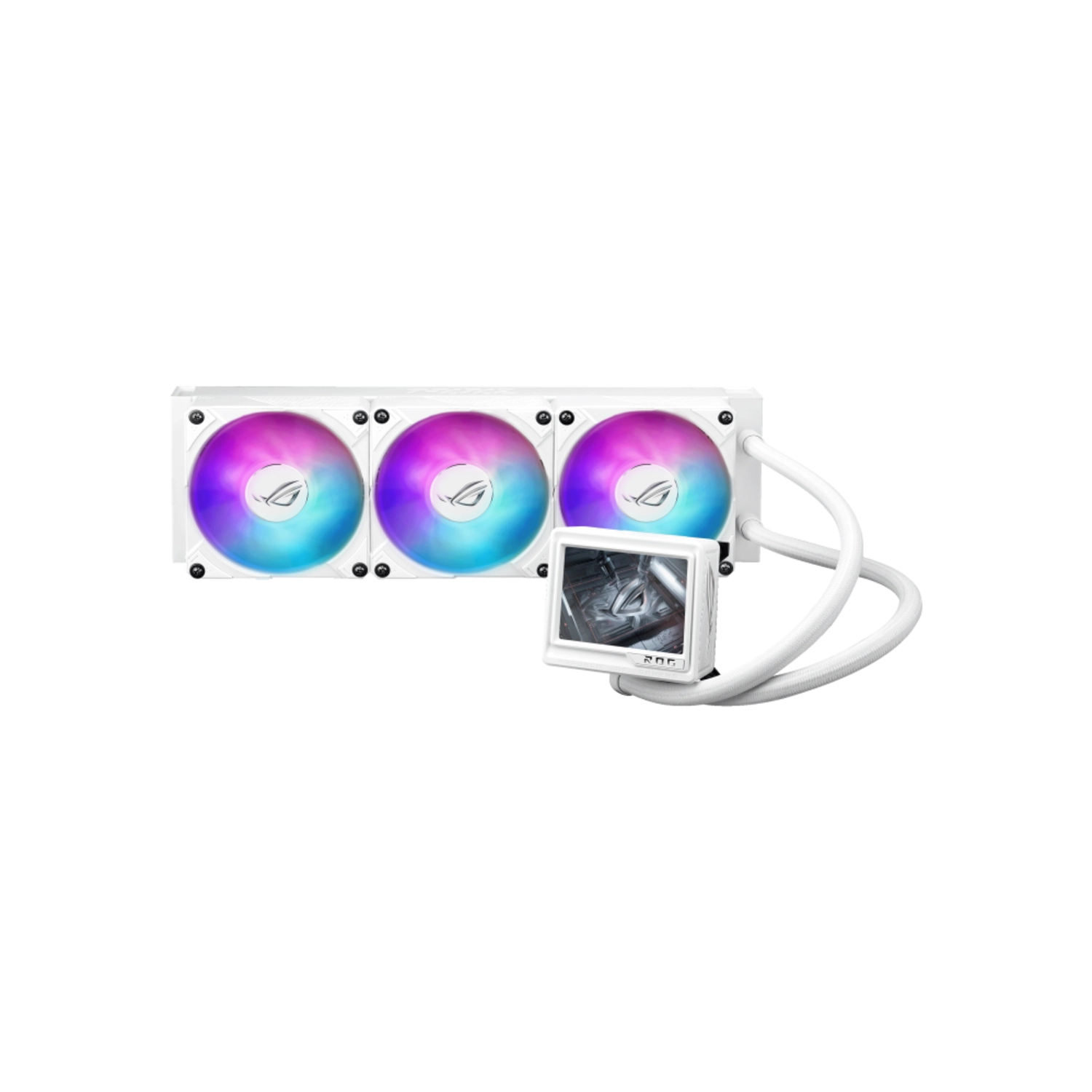 fcybj l.webp