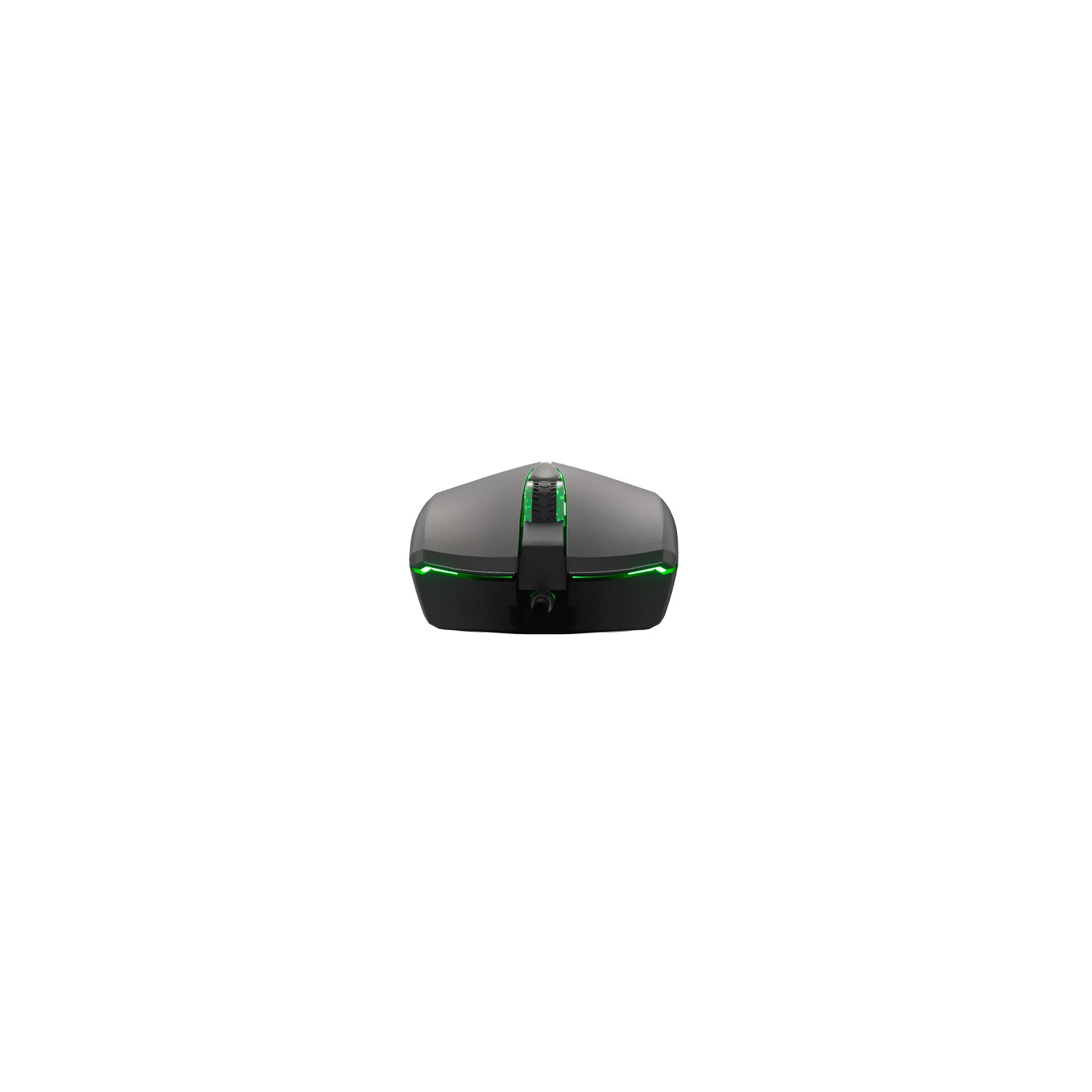 gphbp l.webp