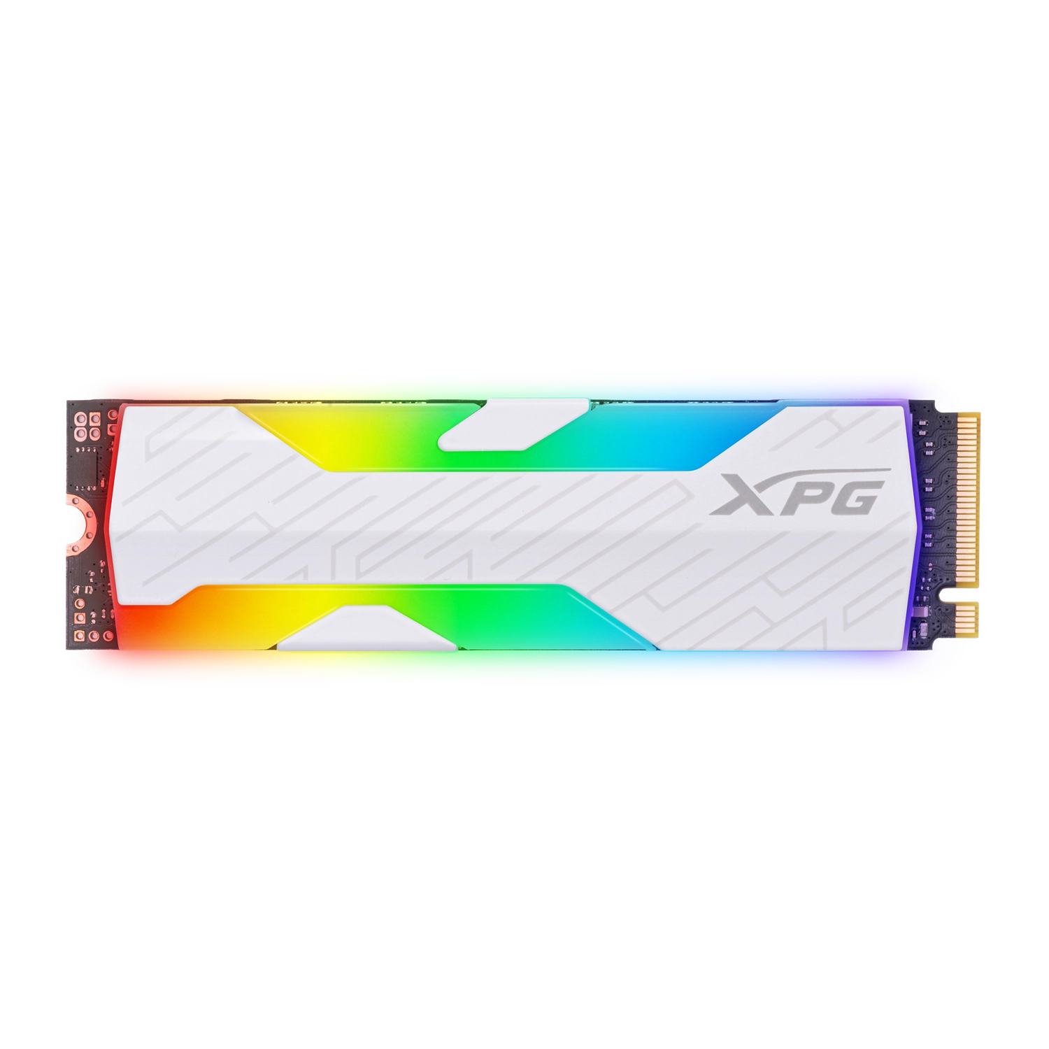mnfp1 l.webp