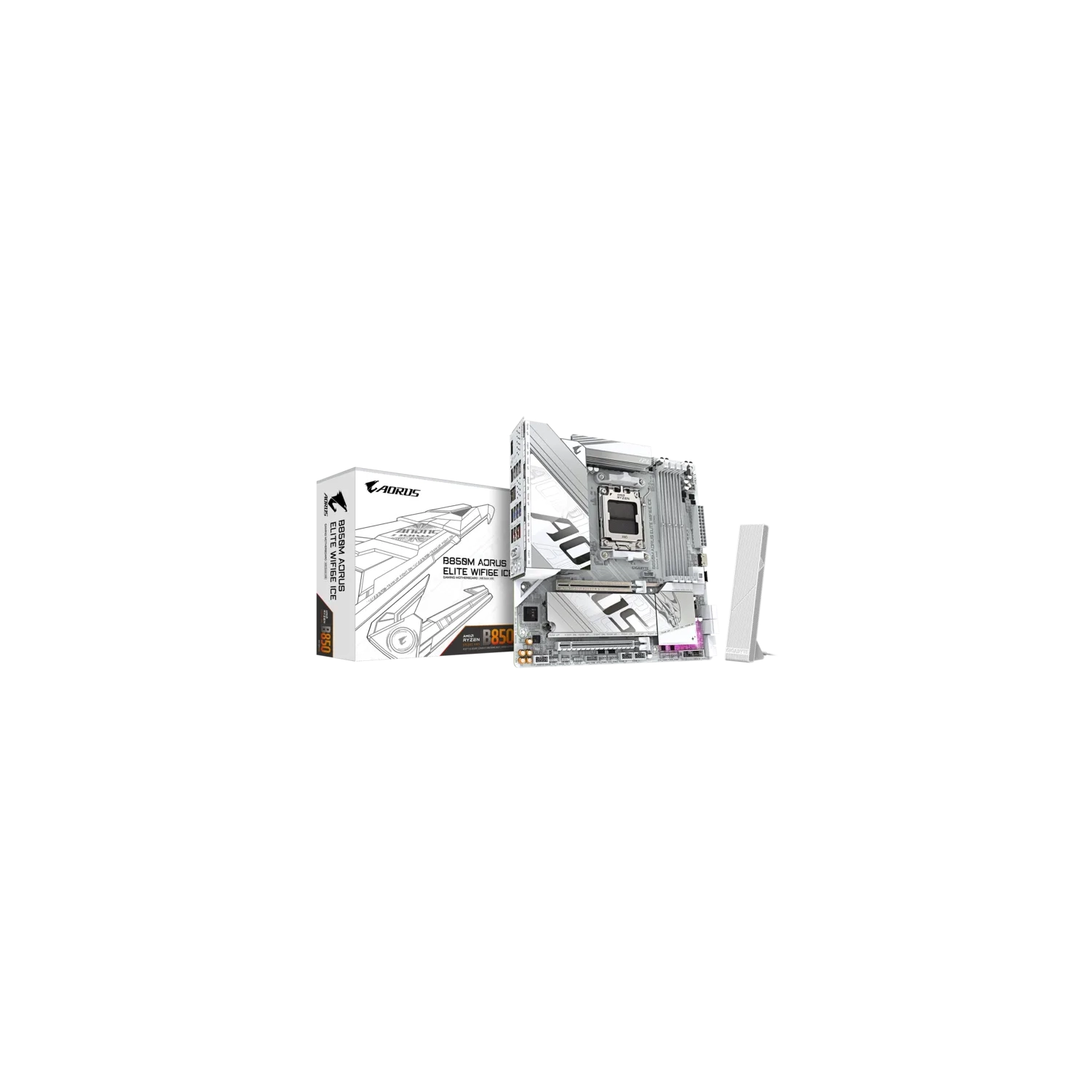 gyljc l.webp