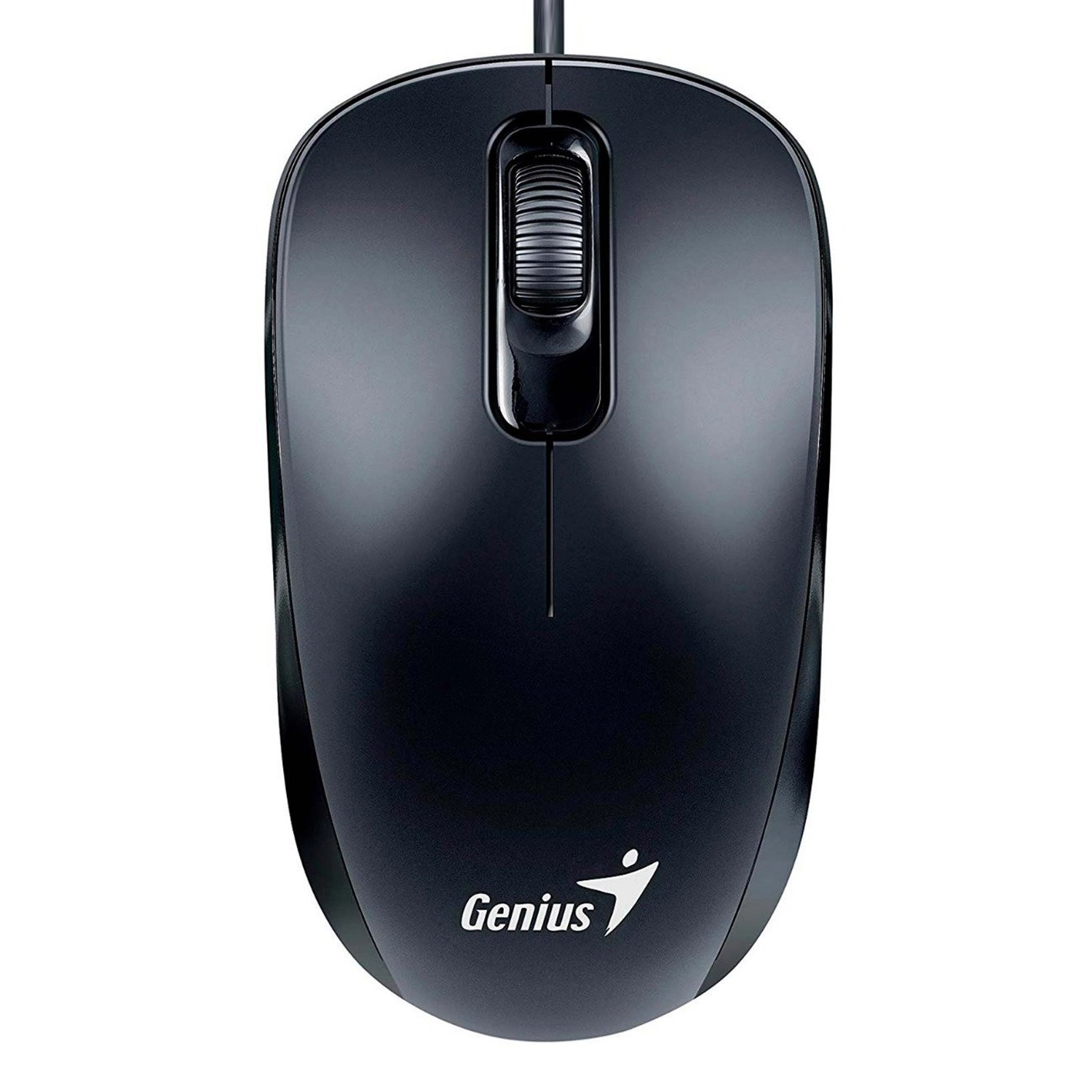 nrkwn l.webp