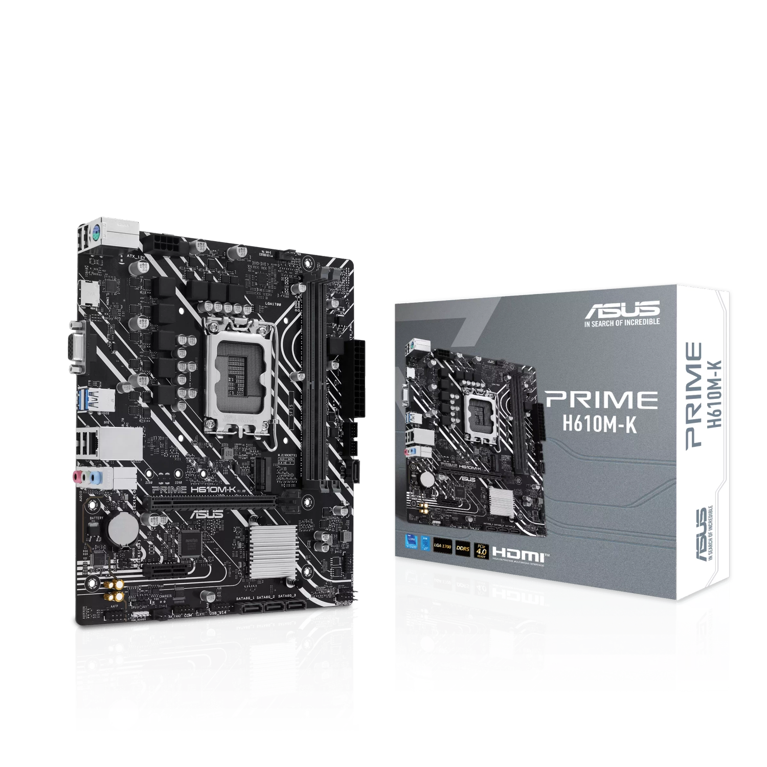 spg6h l.webp
