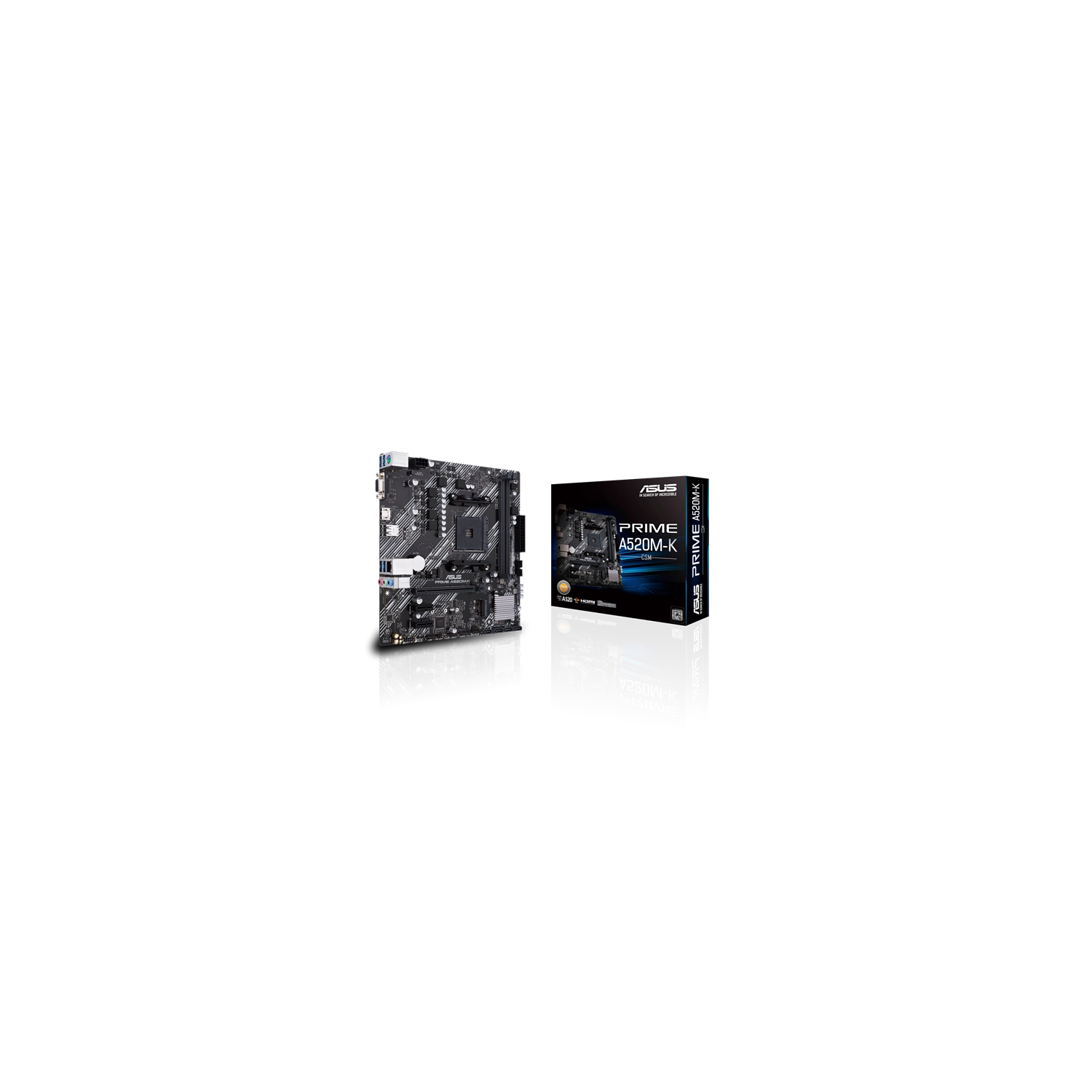 dbn13 l.webp