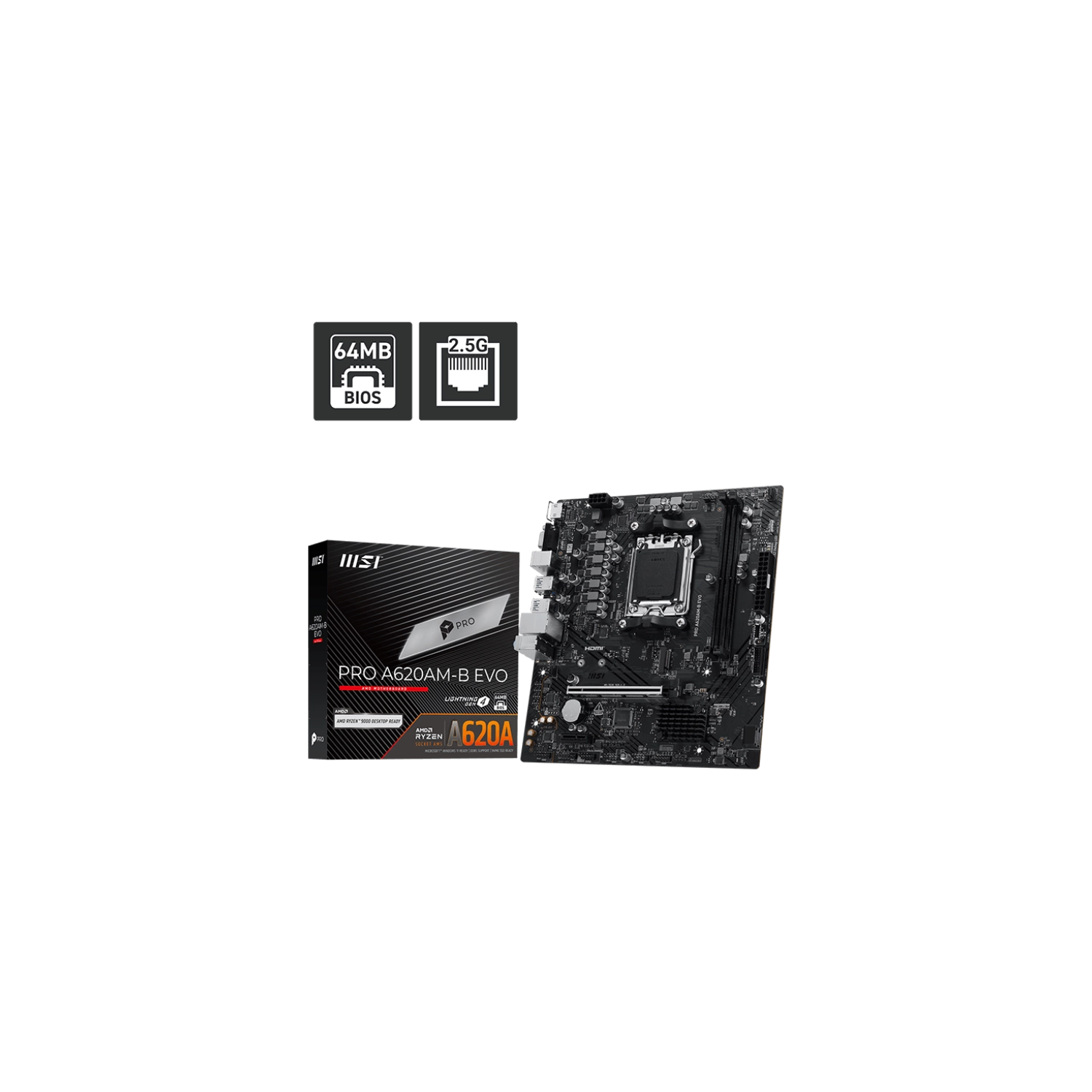puplp l.webp
