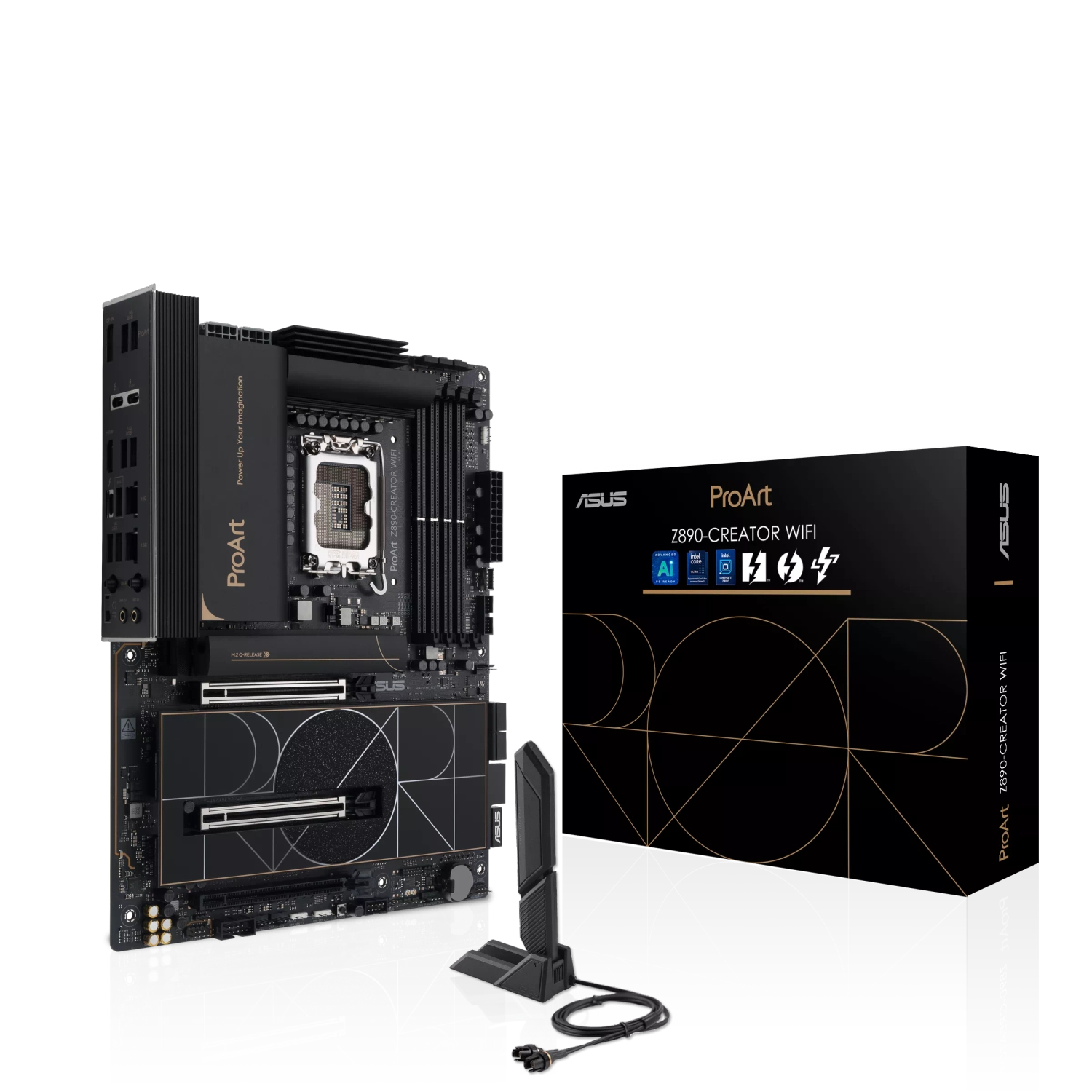 tzg5v l.webp